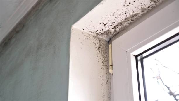 Best Real Estate Mold Inspection  in Gardende, AL