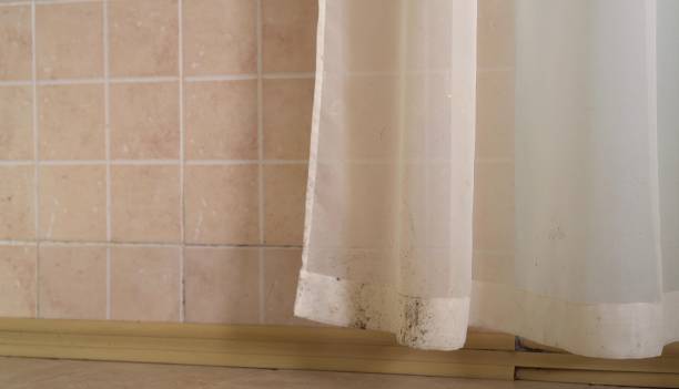 Best Commercial Mold Inspection  in Gardende, AL