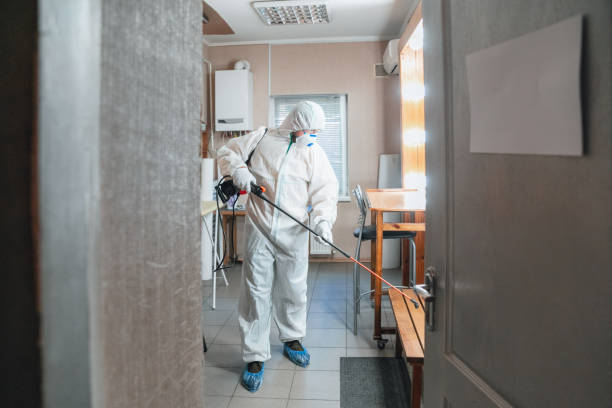 Best Basement Mold Removal  in Gardende, AL