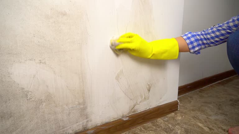 Best Mold Odor Removal Services  in Gardende, AL