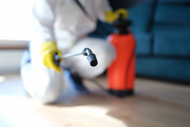 Best Comprehensive Air Testing for Mold Contaminants  in Gardende, AL