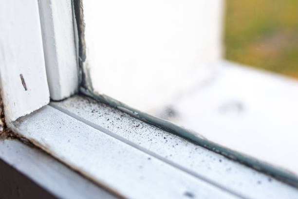 Best Mold Removal for HVAC Installations  in Gardende, AL