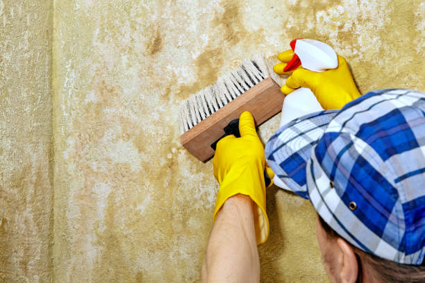Best Air Quality Testing for Mold Spores  in Gardende, AL