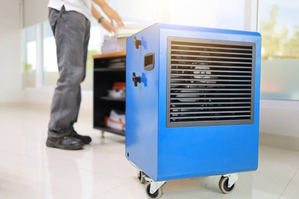 Best Industrial Mold Remediation  in Gardende, AL