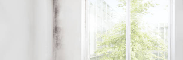 Best Mold-Related Health Consultation  in Gardende, AL