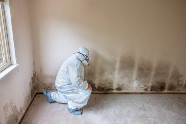 Best Forensic Mold Investigation  in Gardende, AL